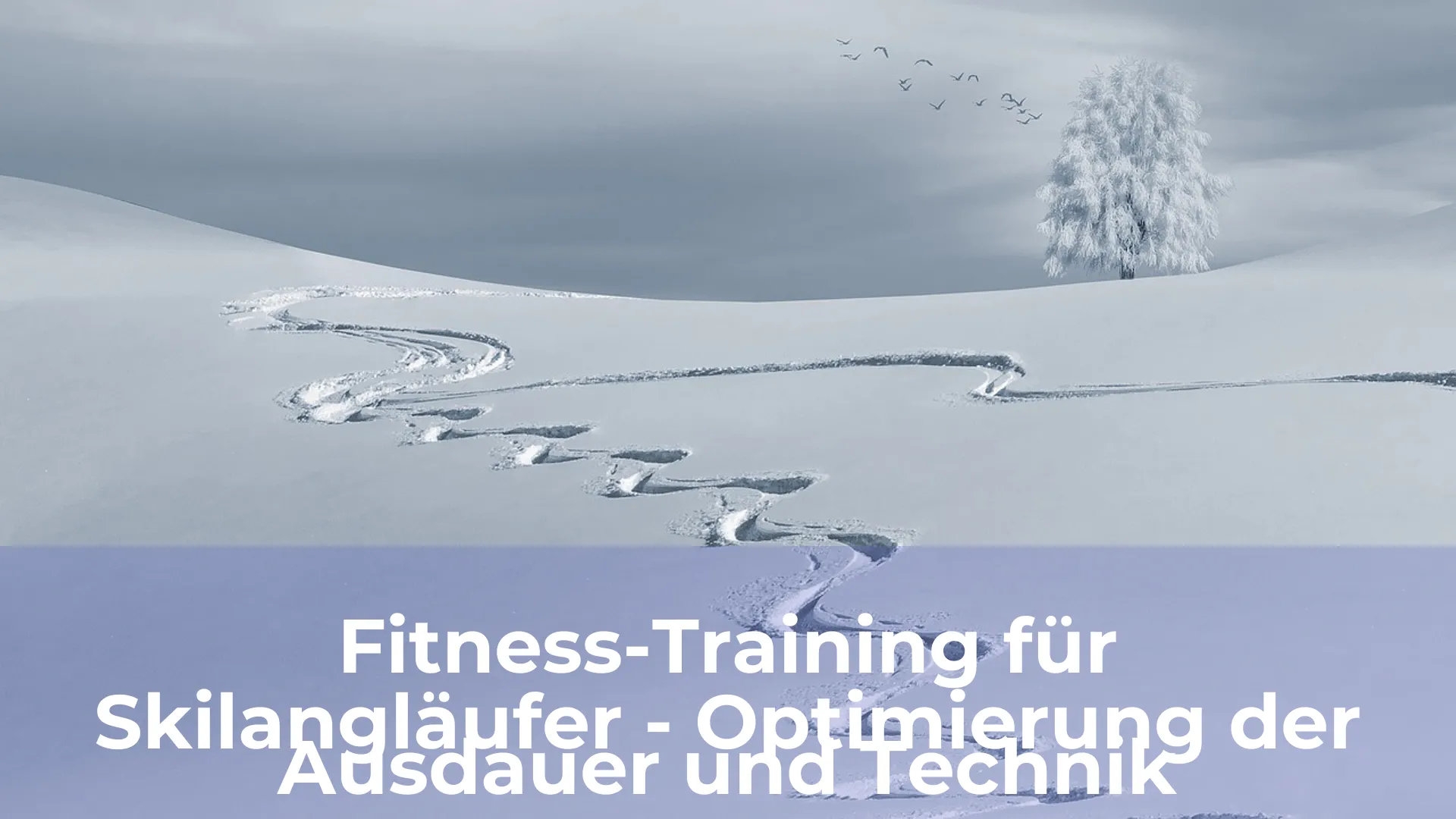 Fitness training für skilangläufer optimierung der ausdauer und technik
